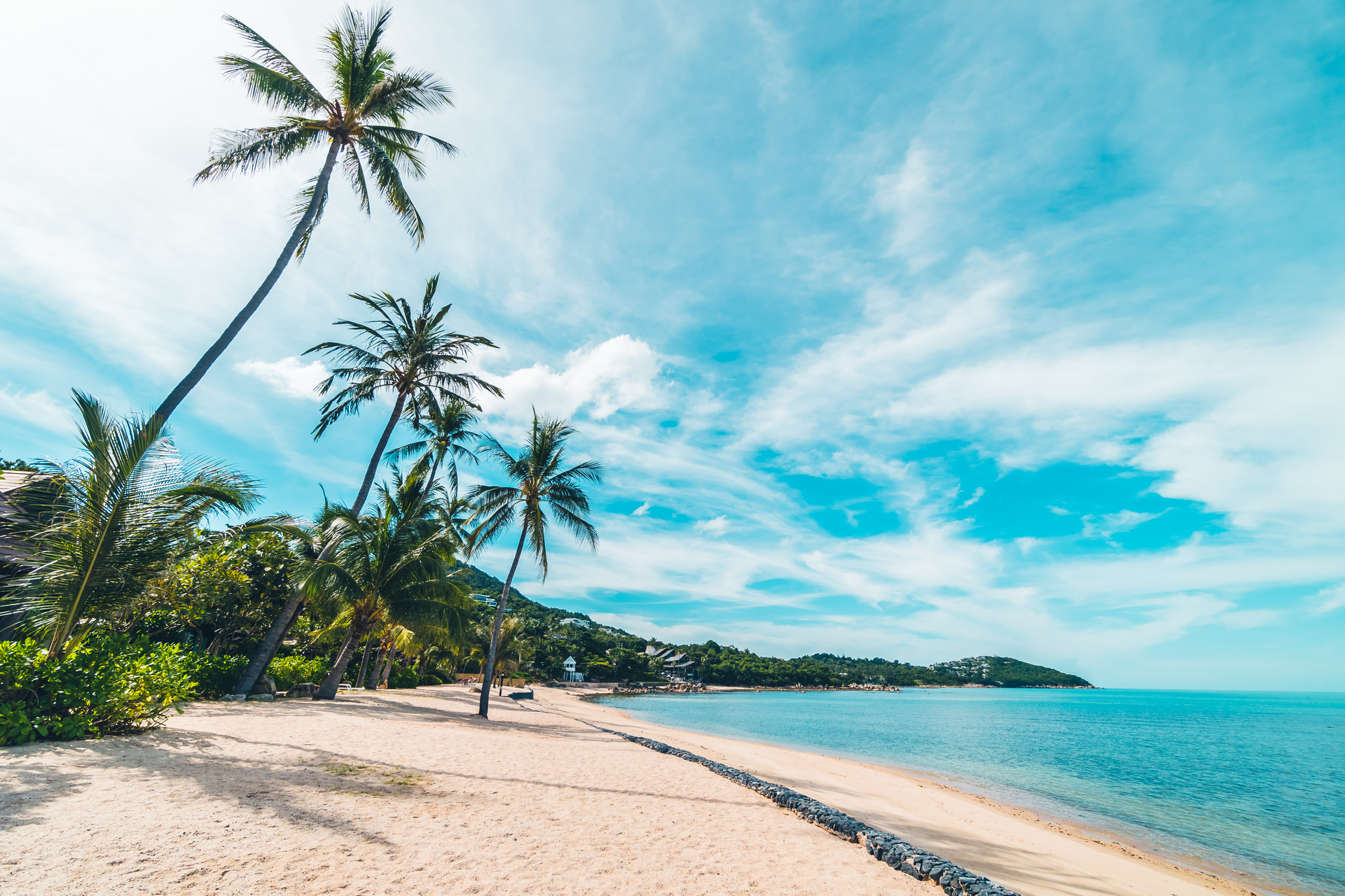Caribbean