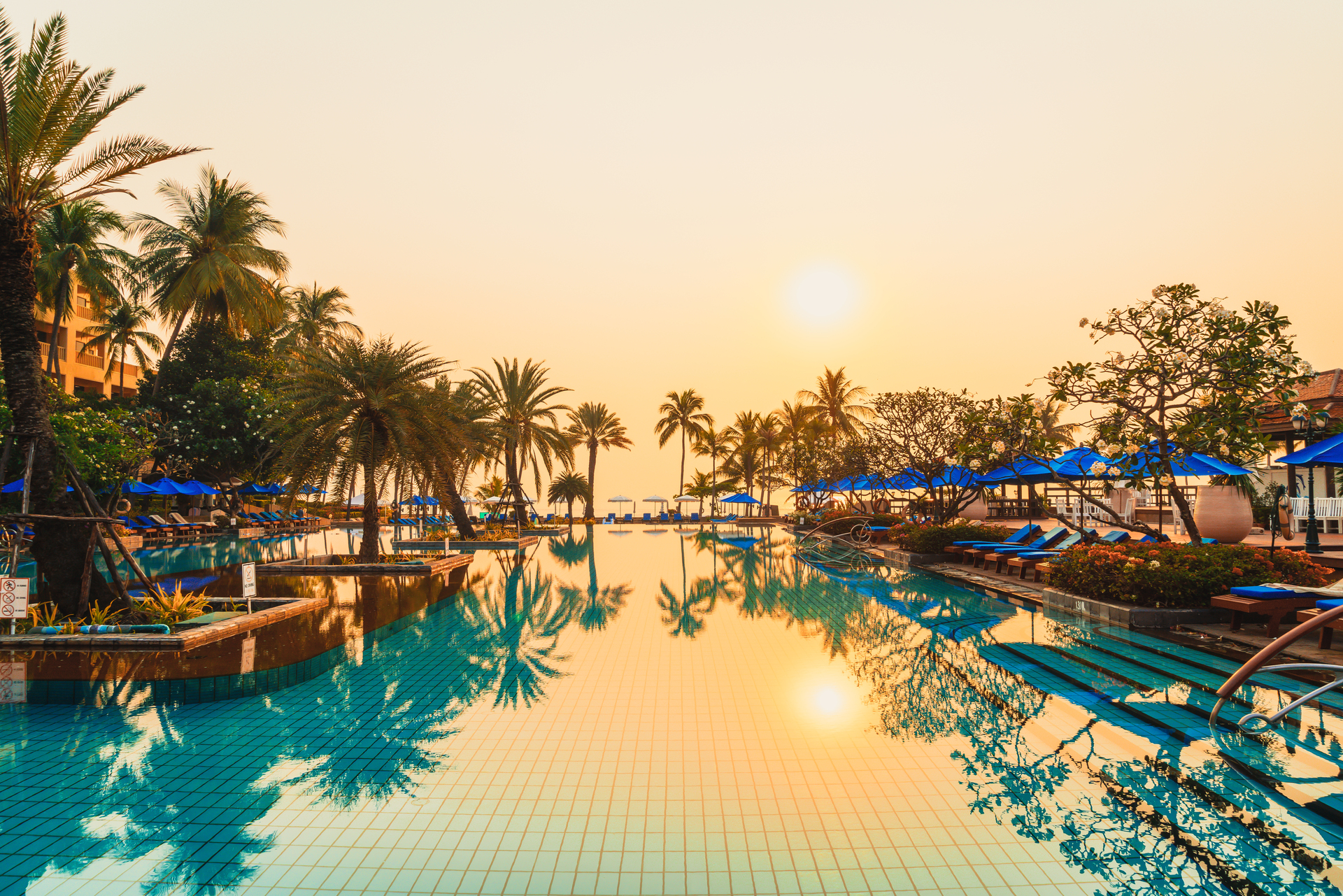 Medium Vecteezy Palm Tree With Umbrella Chair Pool In Luxury Hotel Resort At 8074897 Medium